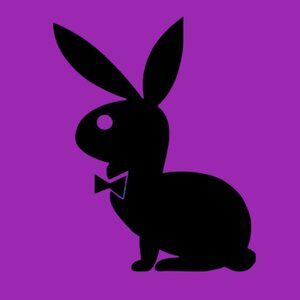 sitting playboy bunny vinyl decal sticker black 5"